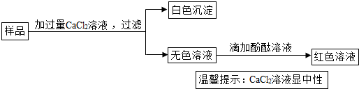 菁優網